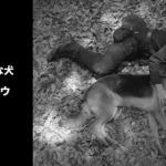 Thumbnail of post image 152